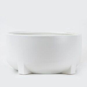 Matte White Plant Ceramic Container